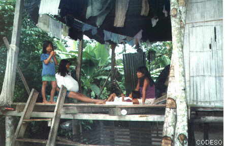 A typical Cofán house - Dovuno Community - SucumbíosFamily solar electrification in the cabins
