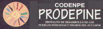 PRODEPINE