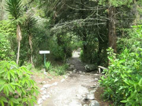 Way down to the Waterfall Ines Maria