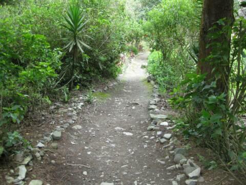 Weg runter zum Wasserfall Ines Maria Baños Pastaza Fluss