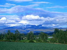Quitas y Terrenos