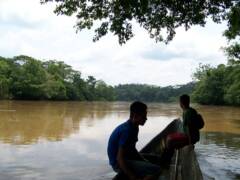 Der Curaray-Fluss im Yasuni-Nationalpark, Pastaza, Ecuador