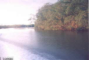 Cayapas Mataje Mangroven-Ökologisches Reservat