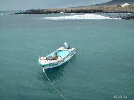 Galapagos Islands